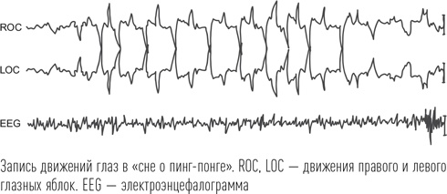 Иллюстрация к книге — Загадки сна [i_054.jpg]