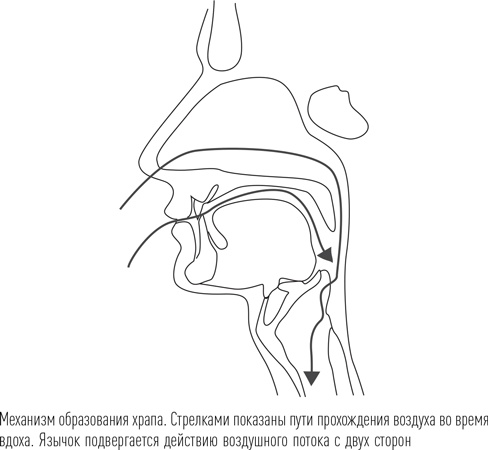 Иллюстрация к книге — Загадки сна [i_070.jpg]
