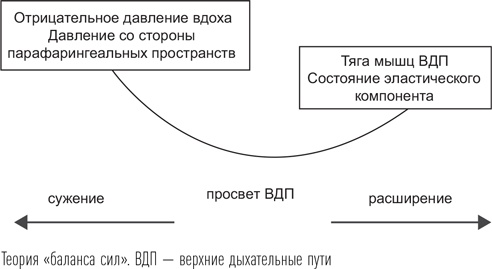 Иллюстрация к книге — Загадки сна [i_073.jpg]