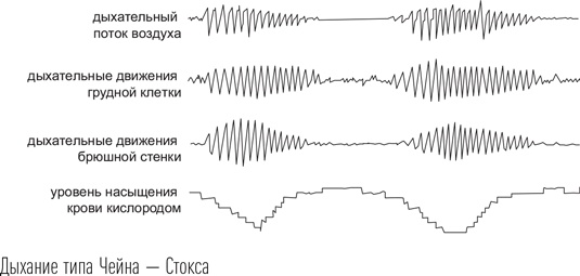 Иллюстрация к книге — Загадки сна [i_079.jpg]