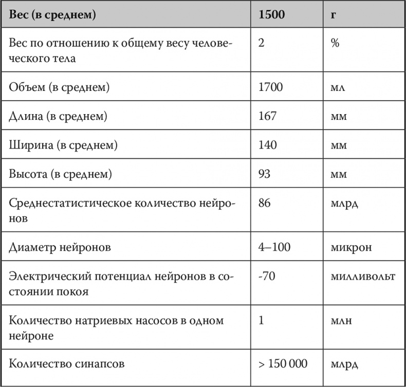 Иллюстрация к книге — Мозг. Инструкция пользователя [i_001.jpg]