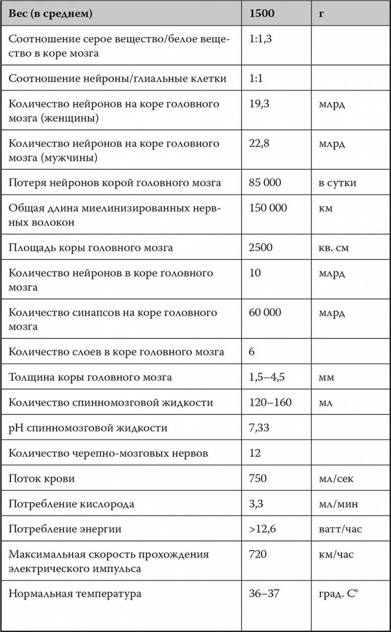 Иллюстрация к книге — Мозг. Инструкция пользователя [i_002.jpg]
