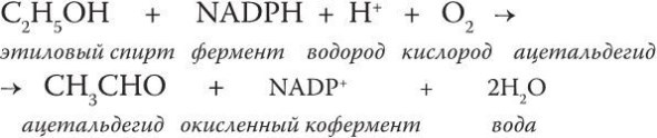 Предрассудки о здоровье. Жить надо с умом и правильно