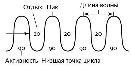 Иллюстрация к книге — Вдохновляющий лидер [i_016.jpg]