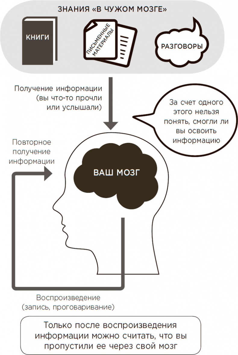 Иллюстрация к книге — Это просто ступор какой-то! Как избавиться от тумана в голове, обрести ясность мыслей и начать действовать [i_005.jpg]