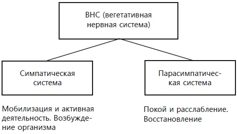 Иллюстрация к книге — Навязчивые мысли, страхи и ВСД. Как вернуть полноценную жизнь [i_003.jpg]