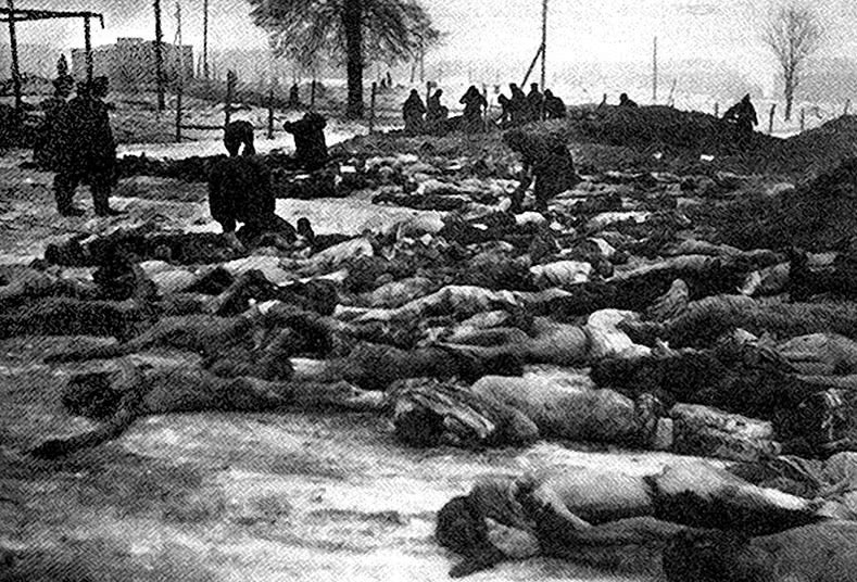 Иллюстрация к книге — Собибор / Послесловие [i_025.jpg]