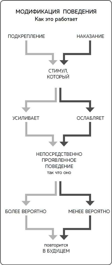 Иллюстрация к книге — Дрессировка без наказания. Пять недель, которые сделают вашу собаку лучшей в мире [i_004.jpg]
