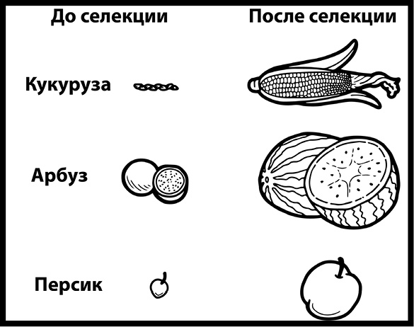 Иллюстрация к книге — Как изобрести все [i_033.jpg]