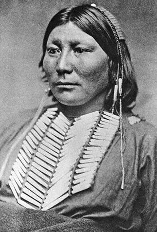 Иллюстрация к книге — Индейские войны [i_034.jpg]