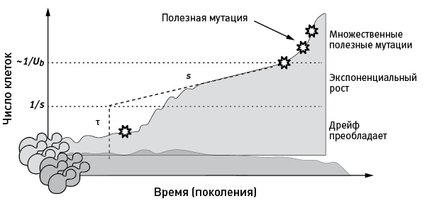 Иллюстрация к книге — Перспективы отбора [i_016.jpg]