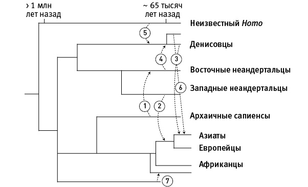 Иллюстрация к книге — Перспективы отбора [i_122.jpg]