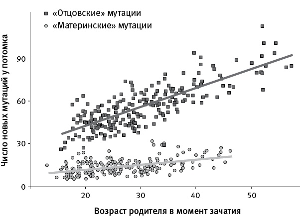 Иллюстрация к книге — Перспективы отбора [i_130.jpg]