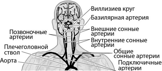 Иллюстрация к книге — Не дай голове расколоться! [i_008.jpg]