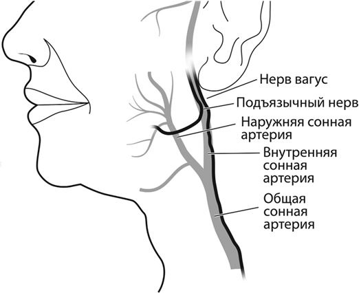 Иллюстрация к книге — Не дай голове расколоться! [i_094.jpg]