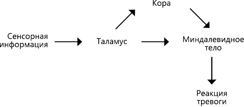 Иллюстрация к книге — Перенастройте свой встревоженный мозг [i_006.jpg]