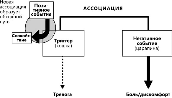 Иллюстрация к книге — Перенастройте свой встревоженный мозг [i_011.jpg]