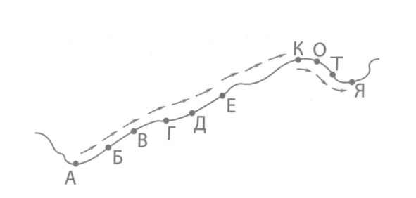 Иллюстрация к книге — Жизнь по своим правилам [image7_5d2c91c0443fb30007a9c4cf_jpg.jpg]