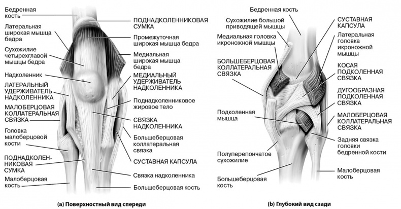 Иллюстрация к книге — Красивое долголетие [i_021.jpg]