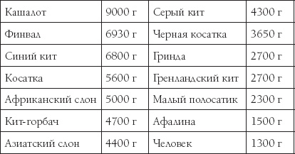 Иллюстрация к книге — Мозг. Такой ли он особенный? [_9.jpg]