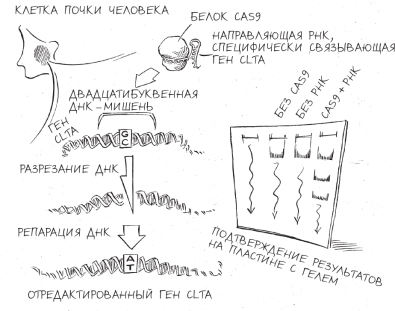 Иллюстрация к книге — Трещина в мироздании [i_014.jpg]