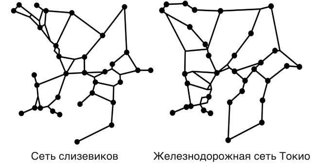 Иллюстрация к книге — Футболоматика [i_010.jpg]