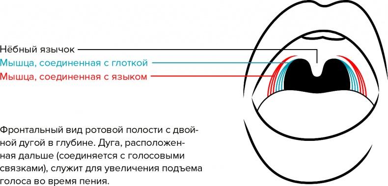 Иллюстрация к книге — Голос [i_107.jpg]