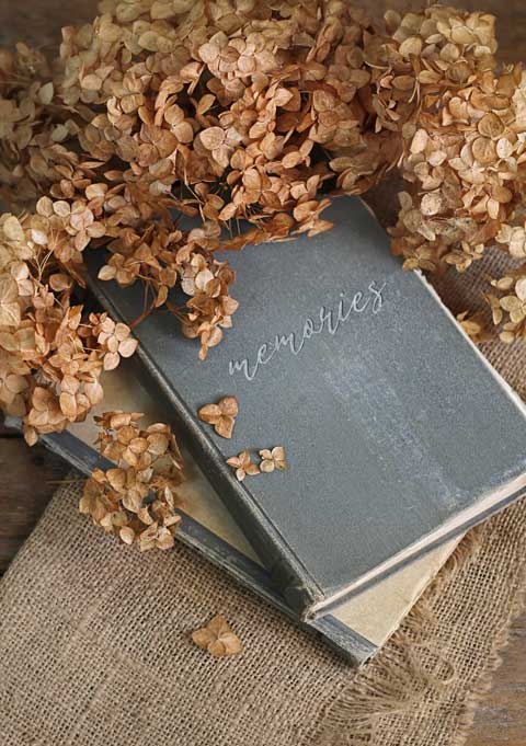 Cozy. Искусство всегда и везде чувствовать себя уютно Cozy. Искусство всегда и везде чувствовать себя уютно