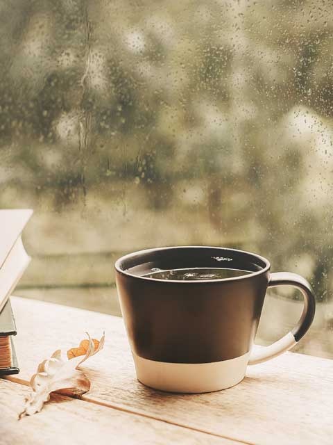 Cozy. Искусство всегда и везде чувствовать себя уютно Cozy. Искусство всегда и везде чувствовать себя уютно