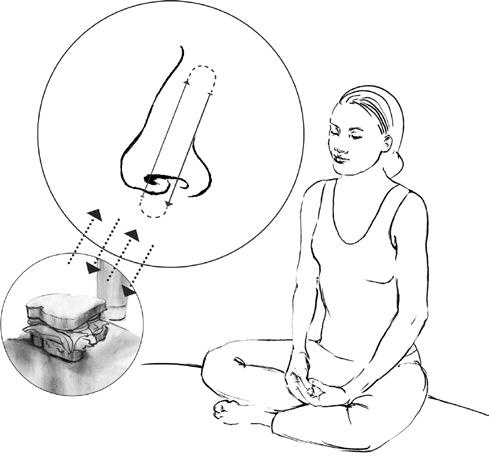 Иллюстрация к книге — Свет ума [i_040.jpg]