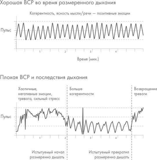 Иллюстрация к книге — Физический интеллект [i_010.jpg]