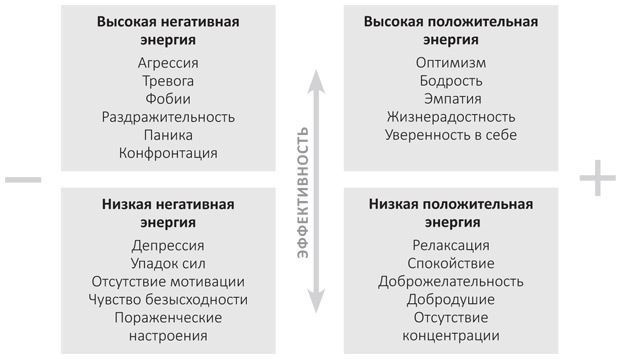 Иллюстрация к книге — Внутриличностный интеллект. Знаю, понимаю, управляю собой [i_010.jpg]
