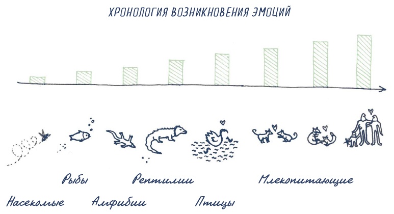Иллюстрация к книге — В моей голове [i_074.jpg]