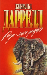 Книга Рози - моя родня Книга Рози - моя родня