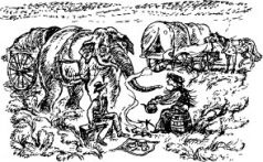 Рози - моя родня Рози - моя родня