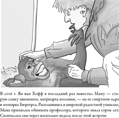Последнее объятие Мамы