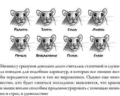 Последнее объятие Мамы