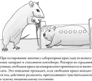 Последнее объятие Мамы