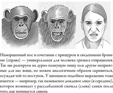 Последнее объятие Мамы