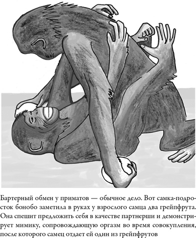Последнее объятие Мамы