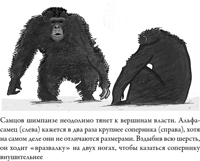 Последнее объятие Мамы