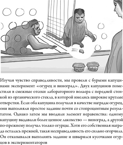Последнее объятие Мамы