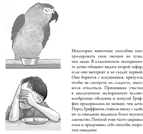 Последнее объятие Мамы
