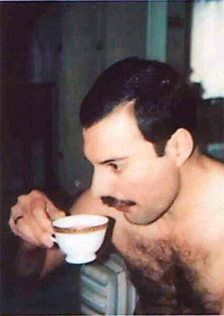 Иллюстрация к книге — Меркьюри и я. Богемская рапсодия, любовь и котики [i_024.jpg]