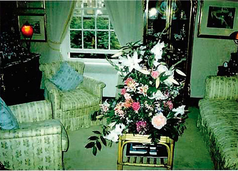 Иллюстрация к книге — Меркьюри и я. Богемская рапсодия, любовь и котики [i_052.jpg]