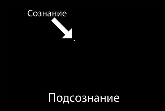Иллюстрация к книге — Биология веры. Как сила убеждений может изменить ваше тело и разум [i_030.jpg]