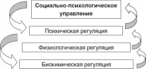 Иллюстрация к книге — Психология спортсмена: слагаемые успеха [_03.jpg]