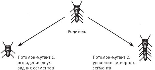 Иллюстрация к книге — Восхождение на гору Невероятности [i_104.jpg]
