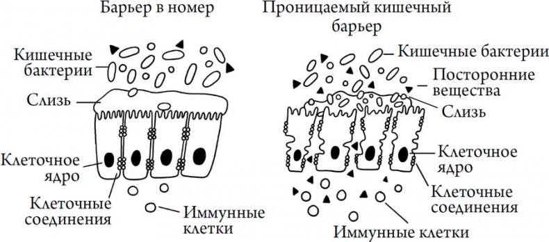 Иллюстрация к книге — Человек Противный [i_027.jpg]