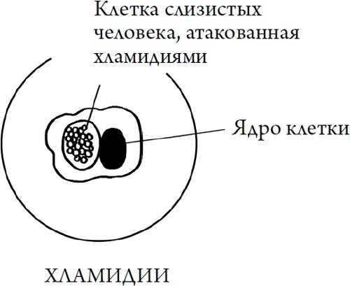 Иллюстрация к книге — Человек Противный [i_123.jpg]